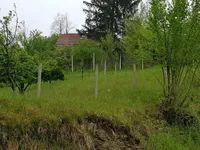 Недвижимость House, Lower Slemen: 4