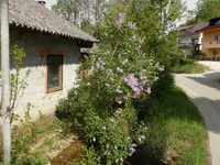 Недвижимость House, Cerov Log: 5