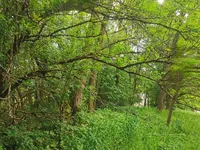 Недвижимость Drugo Chagona House: 13