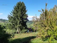 Недвижимость House, Kunšperk: 9
