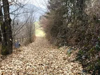 Недвижимость House, Veliki Vrh pri Litiji: 3