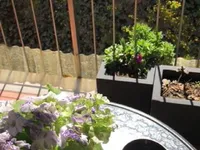 Недвижимость Four-room apartment in Koper: 3