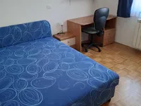 Недвижимость Four-room apartment in Dekani: 18