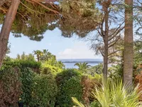 Недвижимость House Cannes Californie: 7