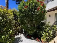 Недвижимость Villa Cannes: 3