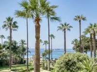 Недвижимость Apartment Cannes Centreville: 1