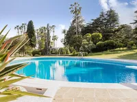 Недвижимость Villa Cannes: 19