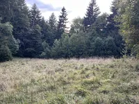 Недвижимость House of Svetlana, 33: 9