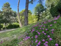 Недвижимость Villa Cannes: 14