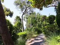 Недвижимость Villa Cannes: 13