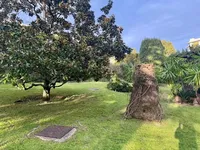 Недвижимость Villa Californie: 9