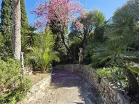 Недвижимость Villa Cannes: 4