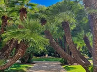 Недвижимость Villa République Cannes: 4