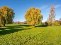Недвижимость Oman Avenue, Gladstone Park: 2