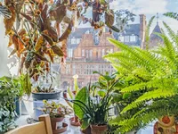 Недвижимость Cricklewood Broadway, Willesden Green: 8
