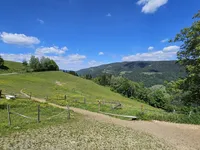 Недвижимость Имение Кметияново Озеро: 11