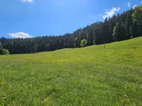 Недвижимость Имение Кметияново Озеро: 13