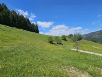 Недвижимость Имение Кметияново Озеро: 14