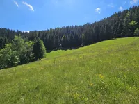 Недвижимость Имение Кметияново Озеро: 15