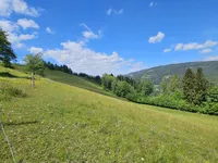 Недвижимость Имение Кметияново Озеро: 16