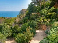 Недвижимость Villa Cannes: 7