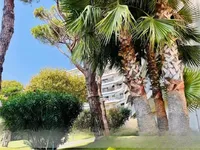 Недвижимость Villa Cannes La Bocca: 1
