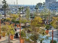 Недвижимость House Cannes Centre-ville: 2