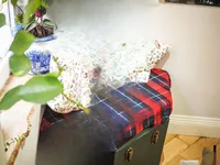 Недвижимость Norfolk House, London, United Kingdom: 17