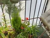 Недвижимость Finchley Road: 4
