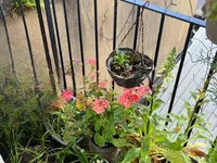 Недвижимость Finchley Road: 5
