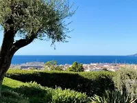 Недвижимость Villa Cannes: 1