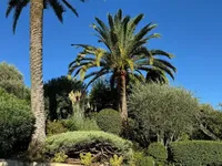 Недвижимость Villa Cannes: 3