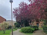 Недвижимость Coopers Close: 4