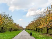 Недвижимость Sumner Road, Peckham: 11