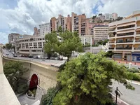 Недвижимость Apartment Monaco, Monte Carlo: 10