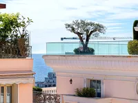 Недвижимость Apartment Monaco, Monte-Carlo: 8