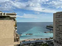 Недвижимость Apartment Monaco, La Rousse: 15
