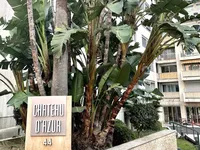 Недвижимость Apartment Monaco, La Rousse: 2