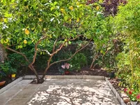 Недвижимость Villa République Cannes: 1
