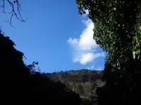 Недвижимость Семейный дом Поляне, Опатия: 11