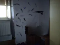 Недвижимость Квартира в Воложске, Опатии: 7