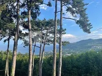 Недвижимость Family house in Veprinac: 18