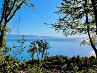 Недвижимость Three-room apartment in Ičići: 11