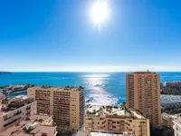 Недвижимость Apartment Monaco, La Rousse: 17