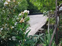 Недвижимость Квартира в Опатии, Запад: 16