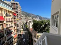 Недвижимость Apartment Monaco, Jardin Exotique: 5