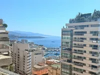 Недвижимость Apartment Monaco, Jardin Exotique: 2