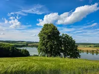 Недвижимость Дом, Савцы: 1