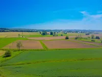 Недвижимость Дом, Савцы: 2