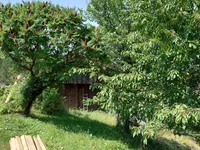 Недвижимость Estate, Ravne Farm, Pristava.: 1